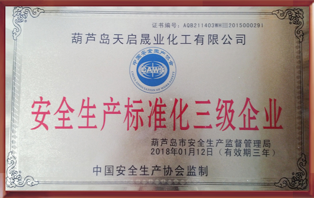 安全生產(chǎn)標(biāo)準(zhǔn)化三級(jí)企業(yè)